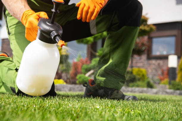 Best Mosquito Control Services  in Rainbow Springs, FL