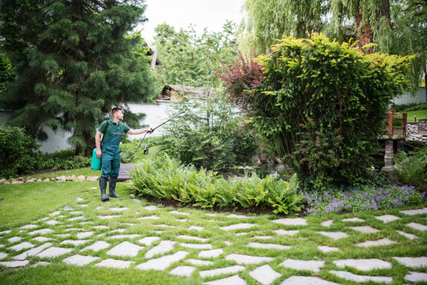 Best Affordable Pest Control Services  in Rainbow Springs, FL