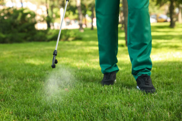 Pest Control Cost in Rainbow Springs, FL