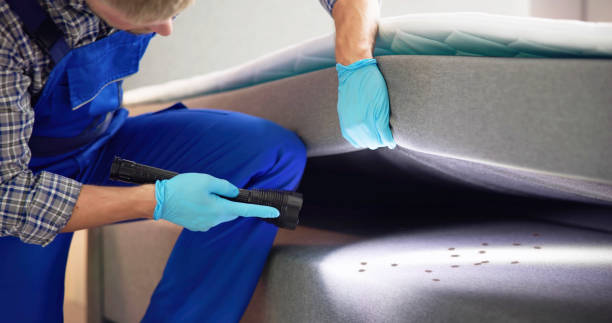 Best Pest Control Near Me in Rainbow Springs, FL