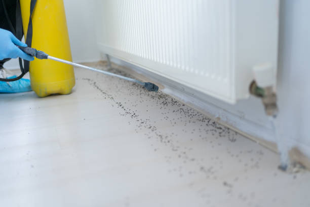 Best Commercial Pest Control Services  in Rainbow Springs, FL
