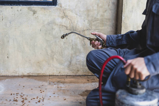 Best Best Pest Control Companies  in Rainbow Springs, FL