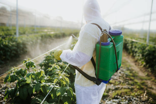 Best Residential Pest Control  in Rainbow Springs, FL